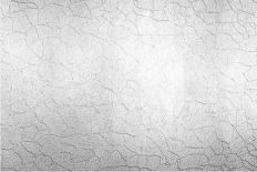 Silver Crack